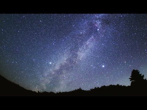 夜の帳の下、蘇芳花は依然として…