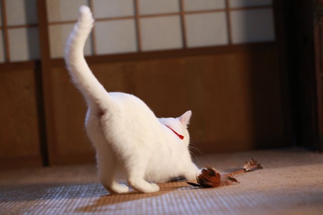 Q8:最後に一言