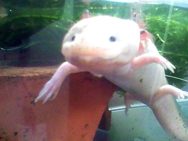 カラオケの罠