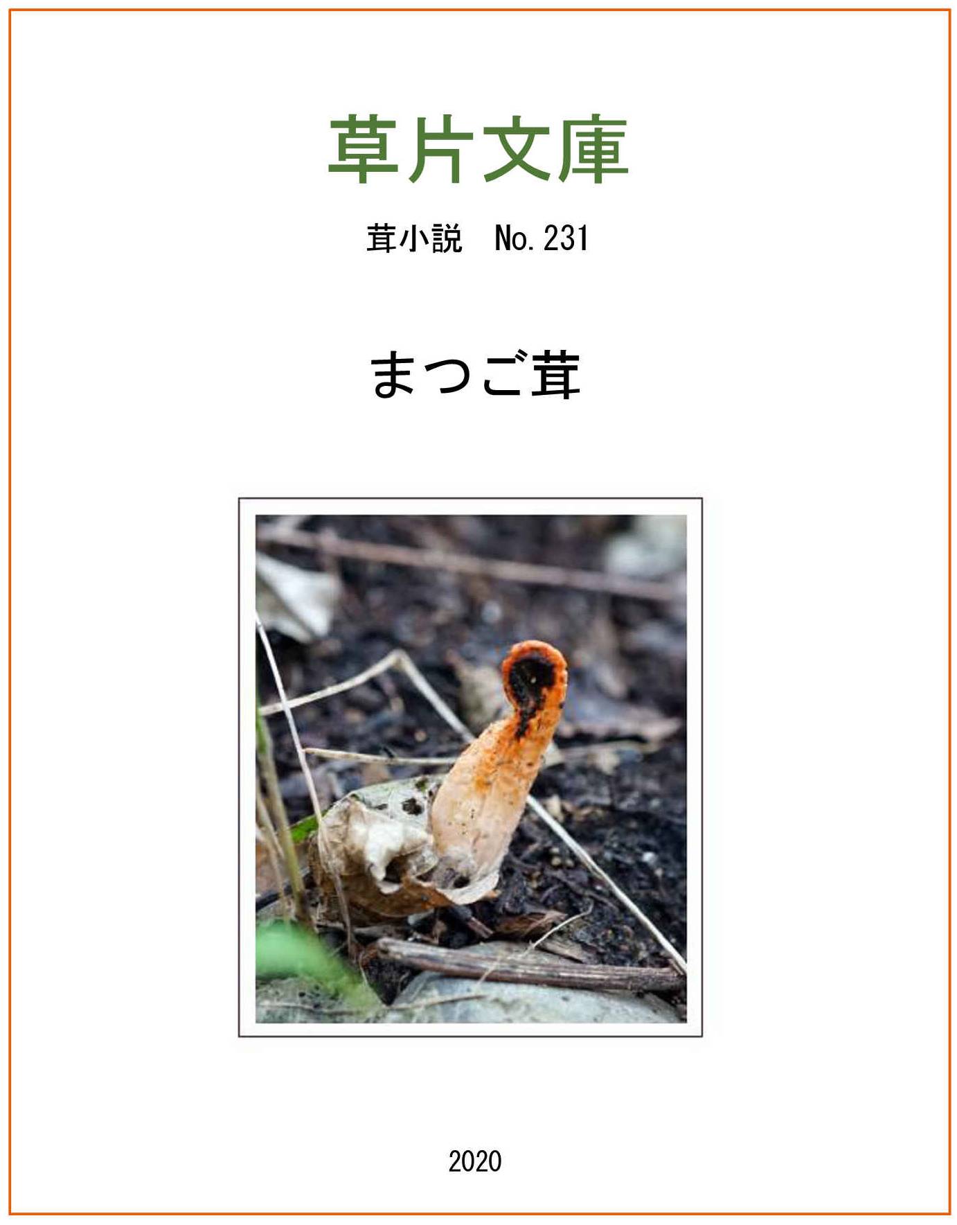 まつご茸