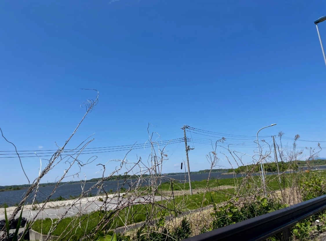 春の空、今日も心温かな風に呼ばれて
