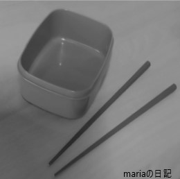Ｍａｒｉａの日記　－１０－