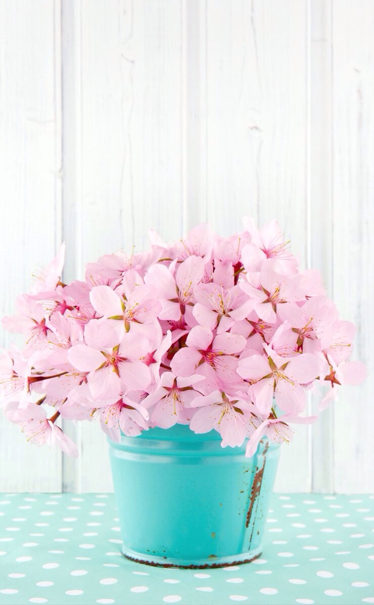 A Bouquet For You   