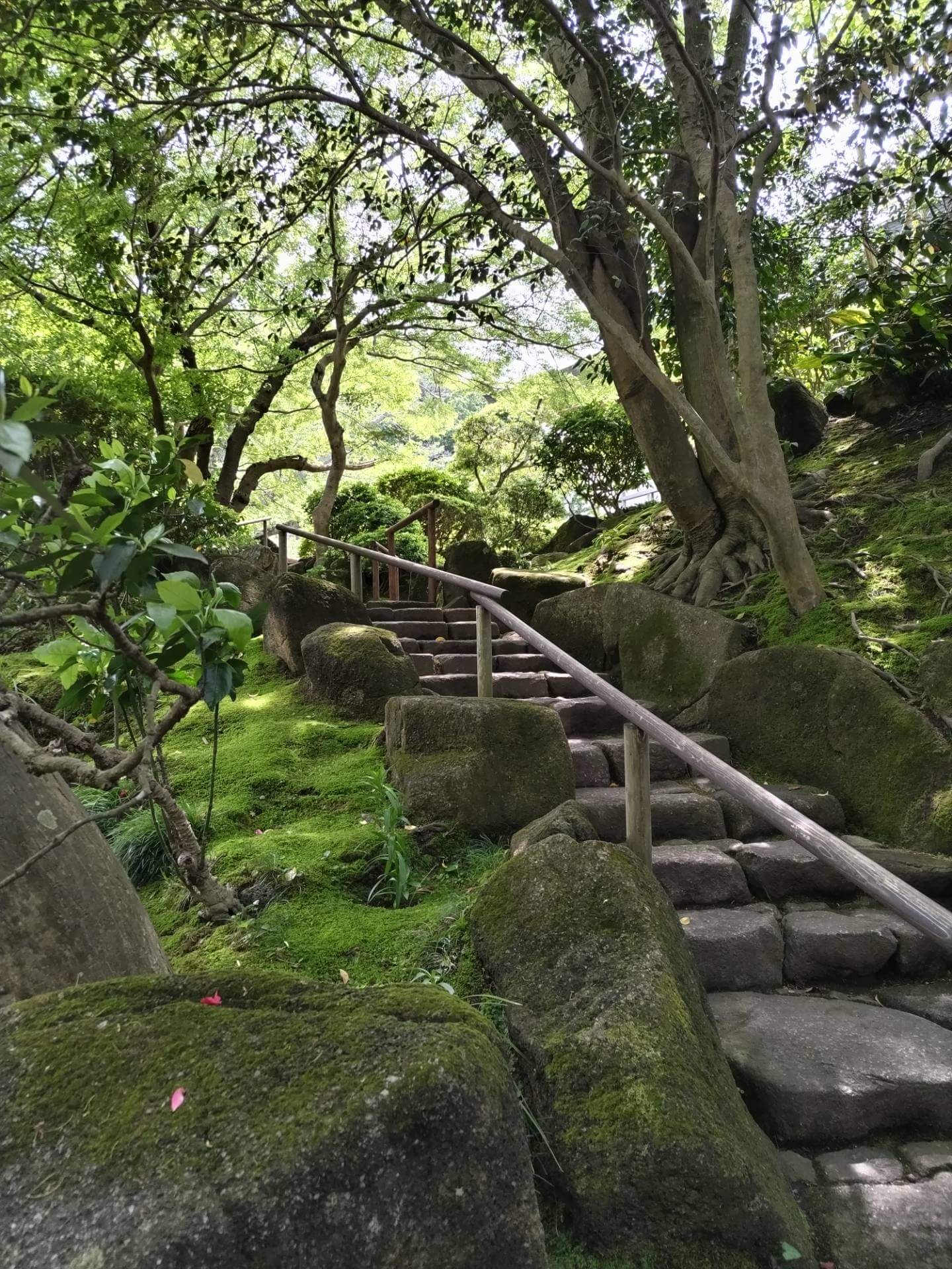 苔の生すまで