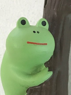 よしの かい