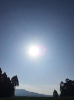 まこと