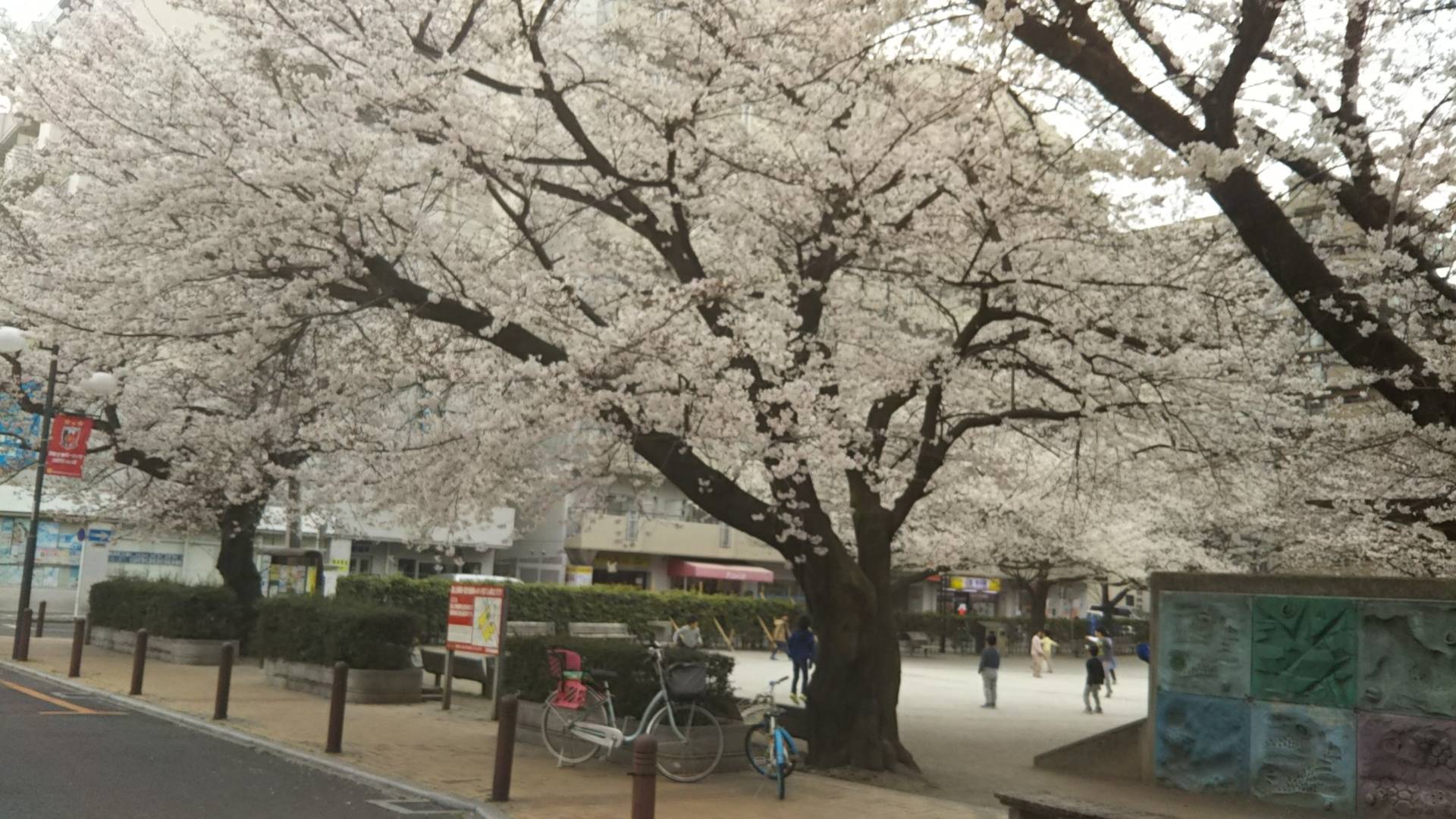 悔いなき人生を