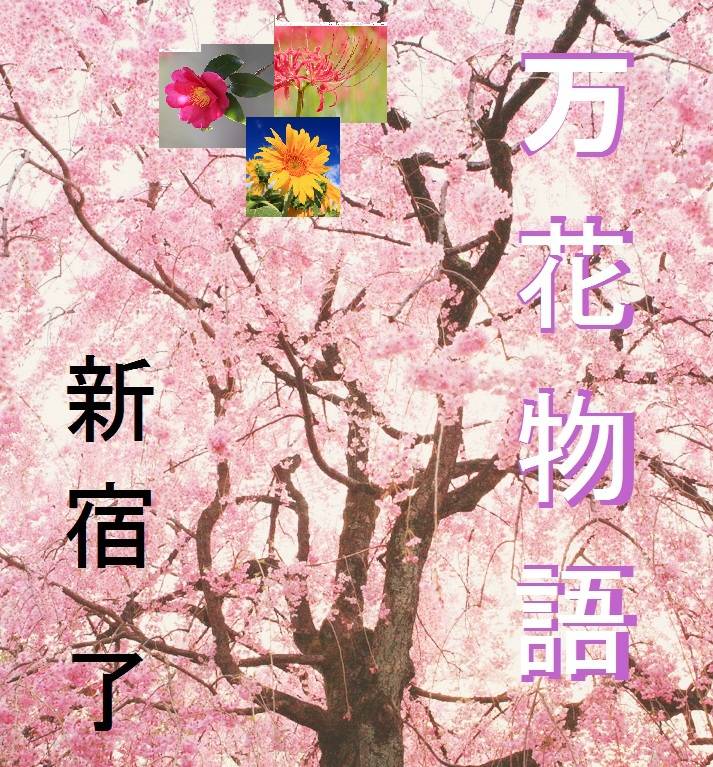 万花物語　＃９１－１００