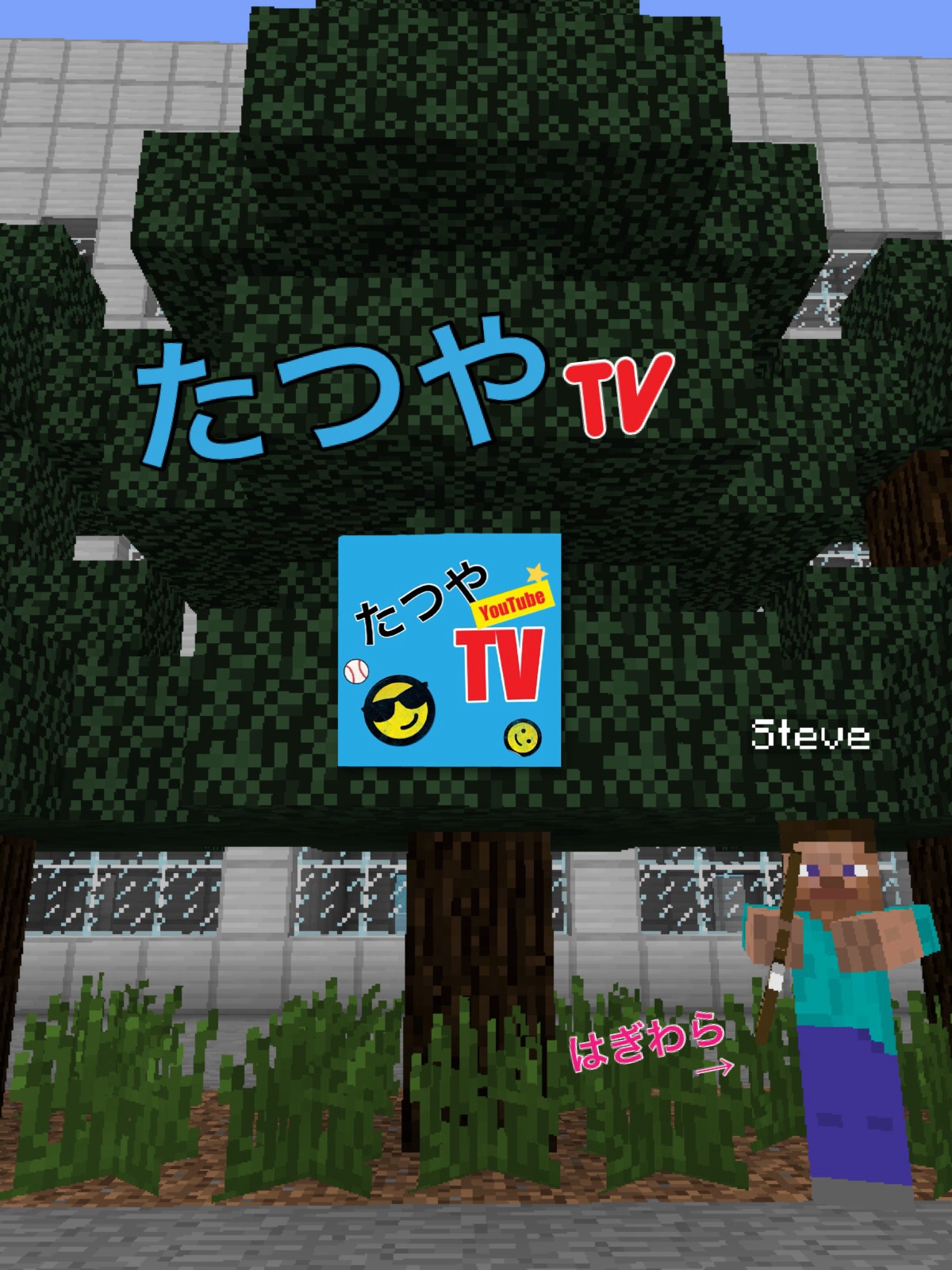 5話 差別(ディワァレンス)