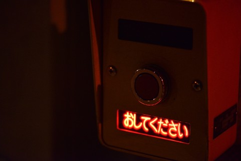 きみのカナリアがうたえる日