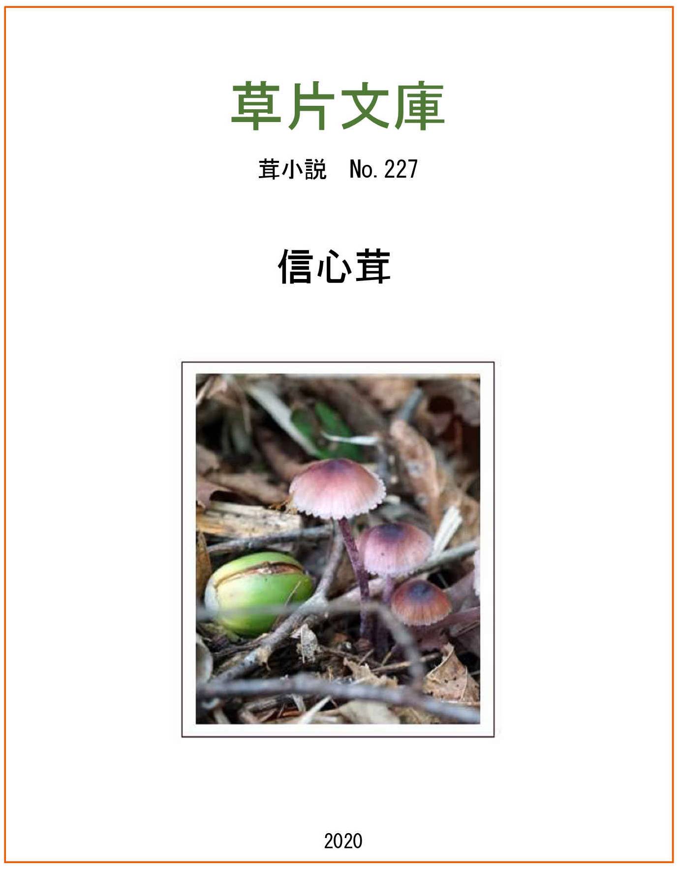 信心茸