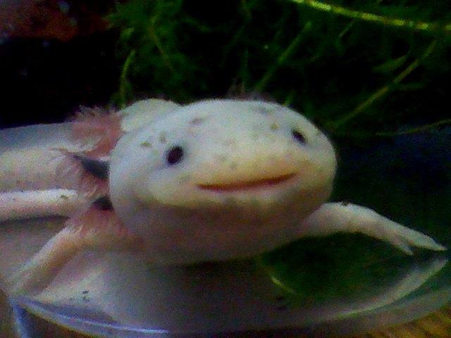 病院の罠