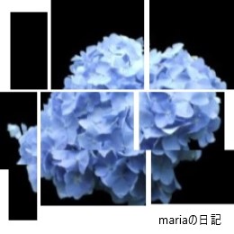 Ｍａｒｉａの日記　－１５－（終）