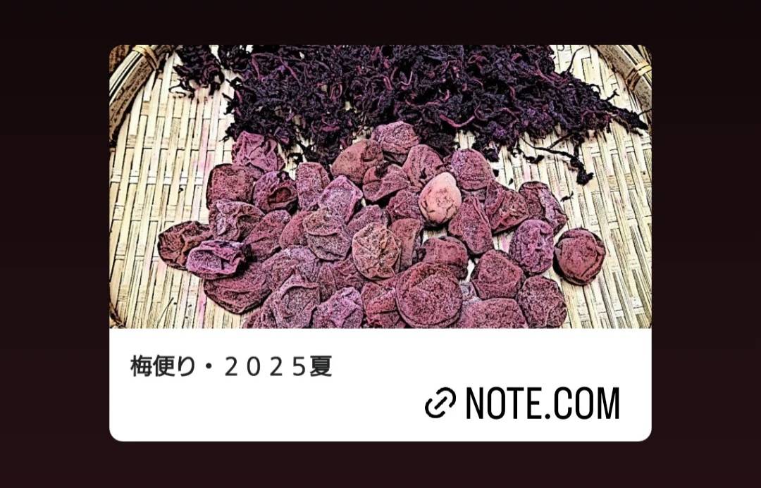 梅便り2025