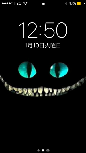 チシャ猫