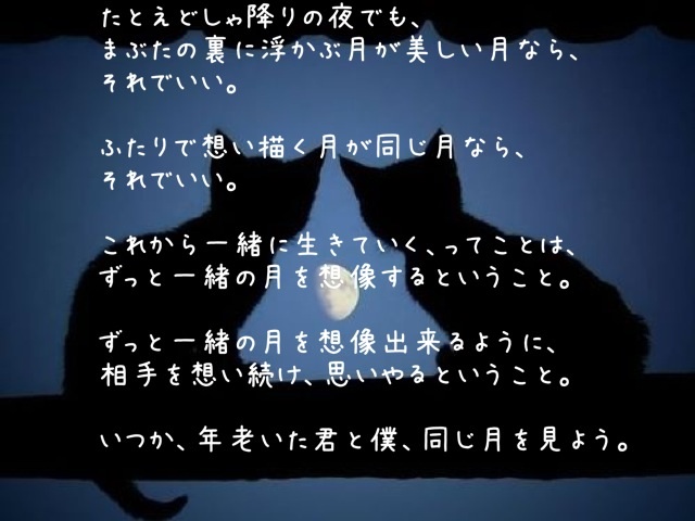 Re:月が綺麗ですね
