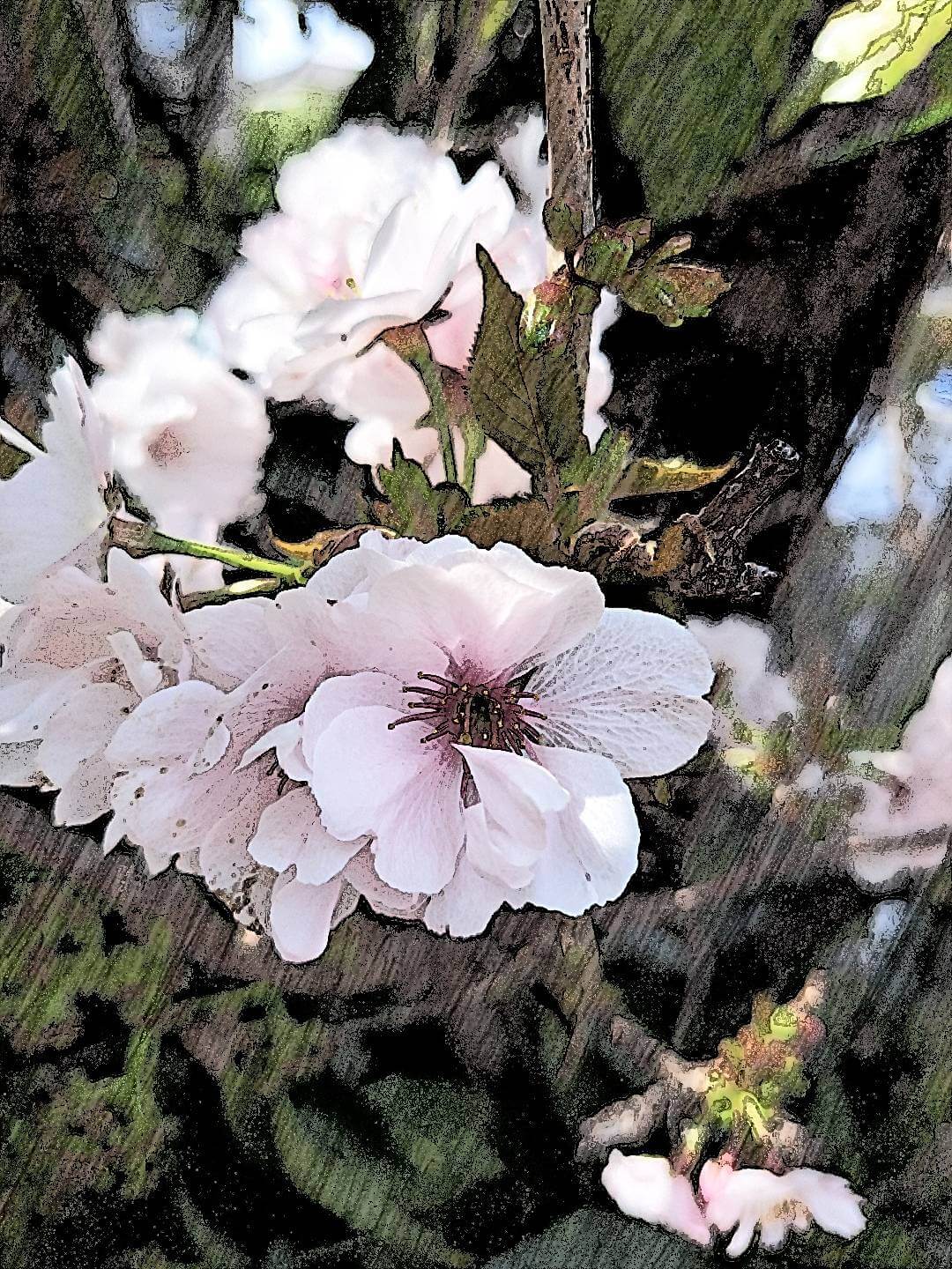 言葉本来の役割とは～後編～