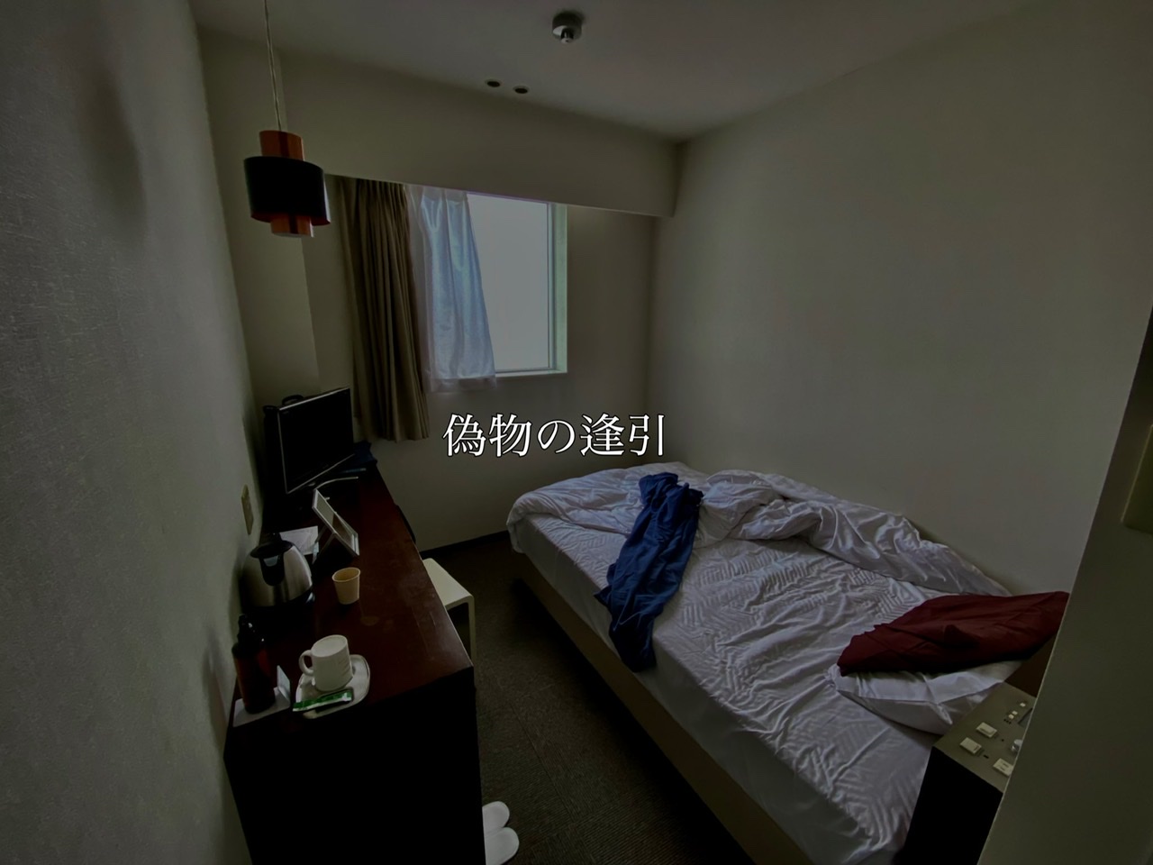 偽物の逢引