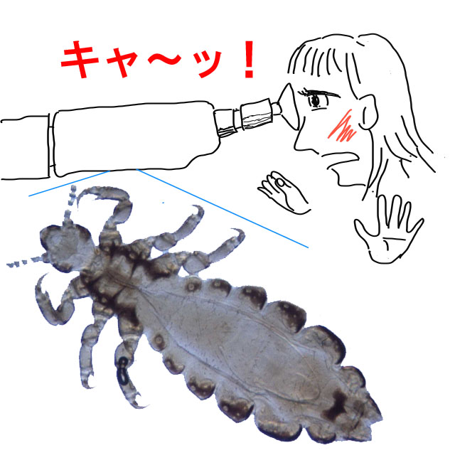 四十 地獄への階段 Ⅱ