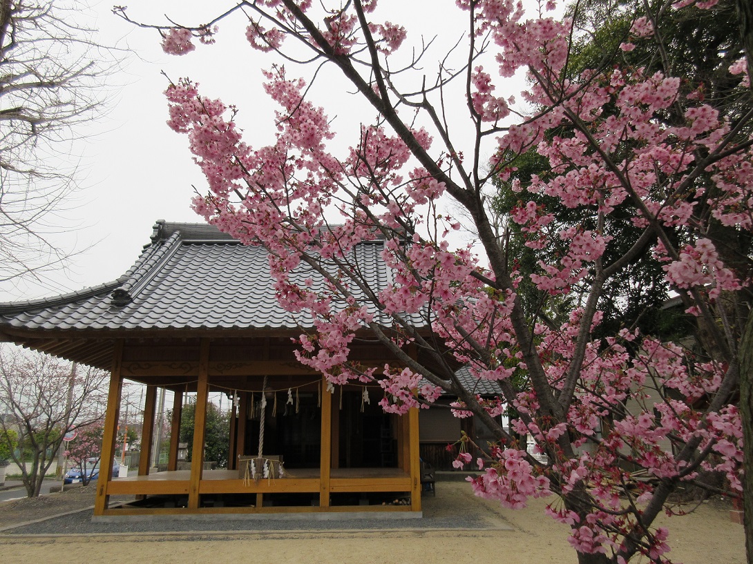 「桜咲き 桜散り行く 風の中 無心に遊ぶ 子供らの声」