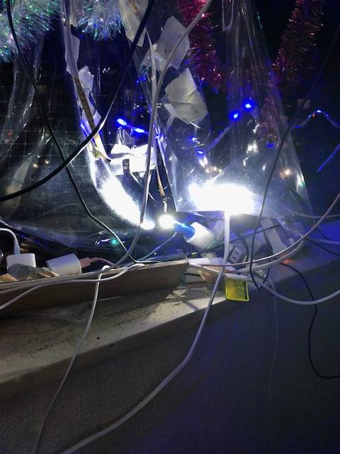 不登校児童の関心から人類社会の退化の原因及び宇宙の仕組み